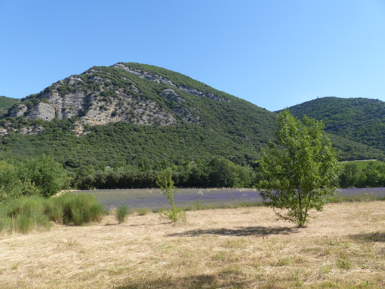 maisons-village